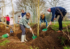 Bomen planten tijdens Boomfeestdag