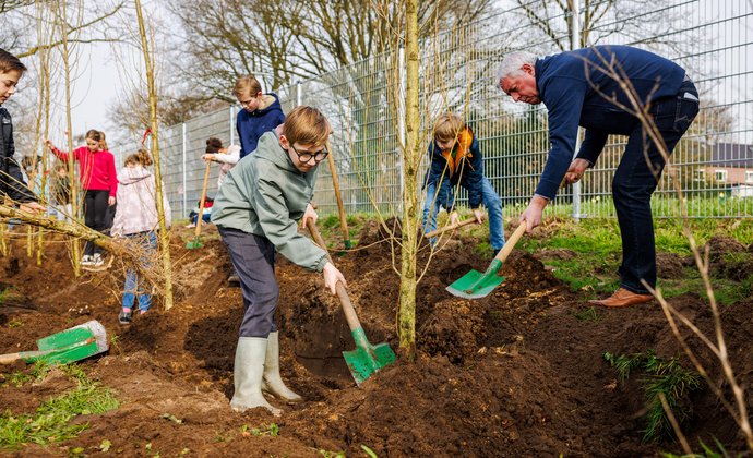 Bomen planten tijdens Boomfeestdag